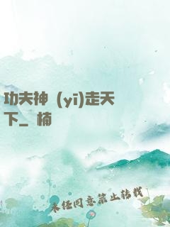 功夫神醫(yī)走天下