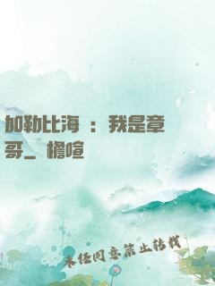 加勒比海盜：我是章魚哥