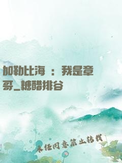 加勒比海盜：我是章魚哥