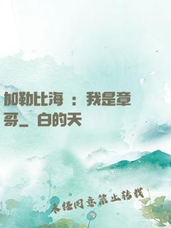 加勒比海盜：我是章魚哥