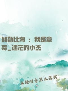 加勒比海盜：我是章魚哥