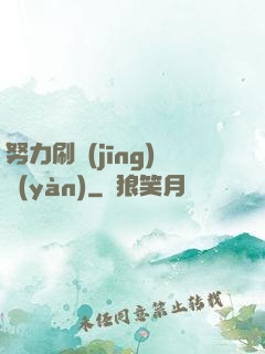 努力刷經(jīng)驗(yàn)
