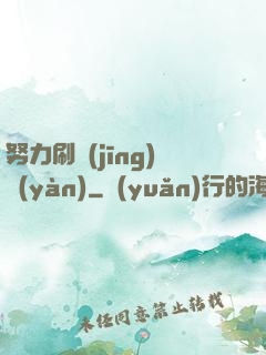 努力刷經(jīng)驗(yàn)