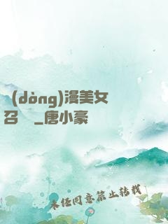 動(dòng)漫美女召喚錄