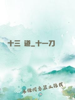 十三劍道