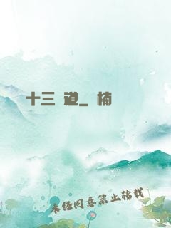 十三劍道