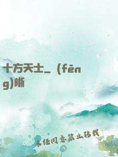 十方天士