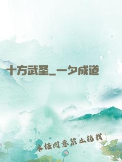 十方武圣