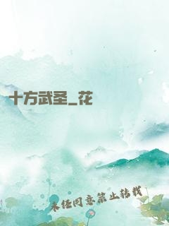 十方武圣