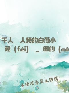 千人騎萬人跨的白薇小說免費(fèi)閱讀
