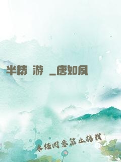 半精靈游俠
