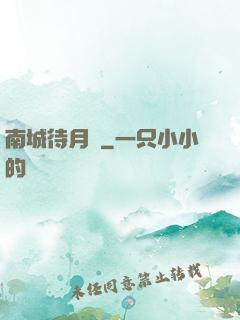 南城待月歸