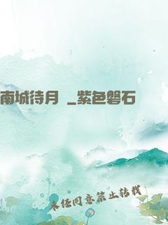 南城待月歸