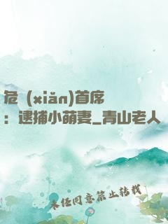 危險(xiǎn)首席：逮捕小萌妻