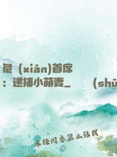 危險(xiǎn)首席：逮捕小萌妻