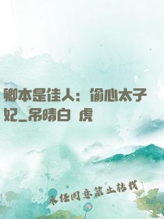 卿本是佳人：偷心太子妃