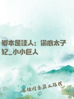 卿本是佳人：偷心太子妃
