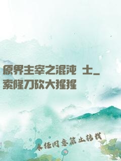 原界主宰之混沌騎士