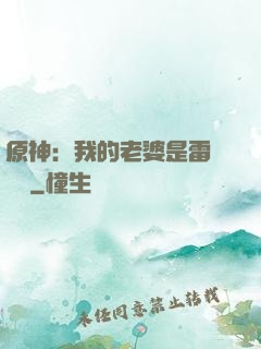原神：我的老婆是雷電將軍