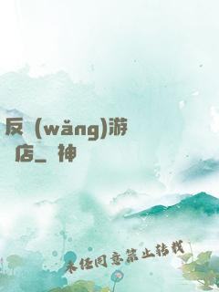 反網(wǎng)游雜貨店