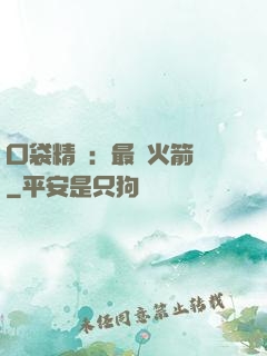 口袋精靈：最強火箭隊