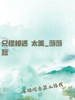 只怪相遇時太美