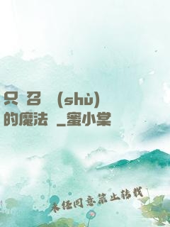 只會召喚術(shù)的魔法師