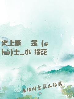 史上最無恥煉金術(shù)士