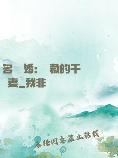 名門閃婚：總裁的千億寵妻