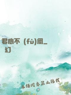 君心不負(fù)凰