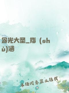 含光大圣