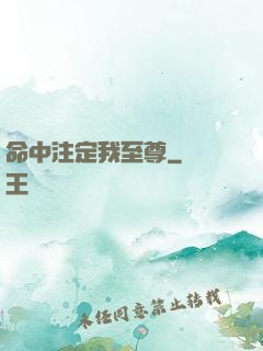 命中注定我至尊