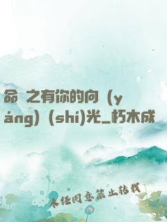 命軌之有你的向陽(yáng)時(shí)光