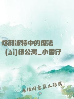 哈利波特中的魔法師與愛(ài)情公寓