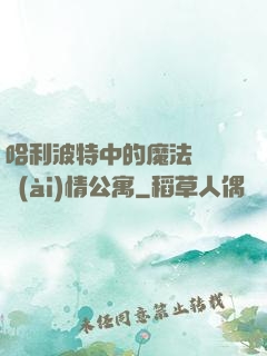 哈利波特中的魔法師與愛(ài)情公寓