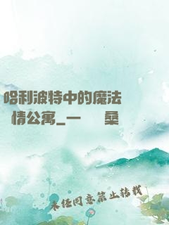 哈利波特中的魔法師與愛情公寓
