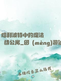 哈利波特中的魔法師與愛情公寓
