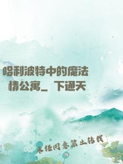 哈利波特中的魔法師與愛情公寓