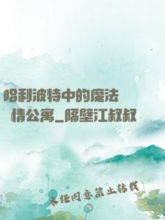 哈利波特中的魔法師與愛情公寓