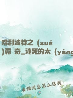 哈利波特之學(xué)霸傳奇