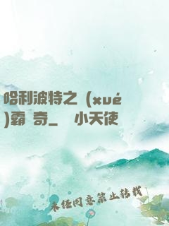 哈利波特之學(xué)霸傳奇
