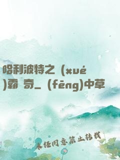 哈利波特之學(xué)霸傳奇