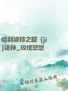 哈利波特之超級(jí)法神