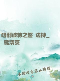 哈利波特之超級法神