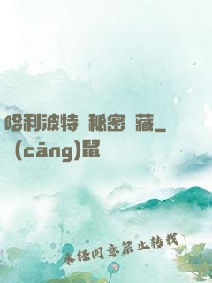 哈利波特與秘密寶藏