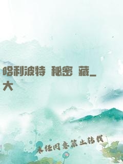 哈利波特與秘密寶藏