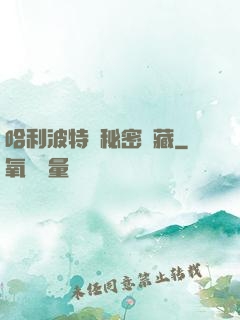 哈利波特與秘密寶藏