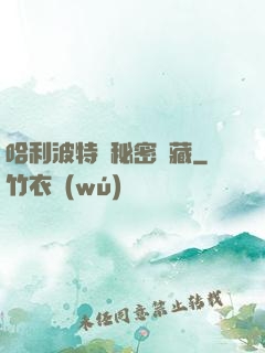 哈利波特與秘密寶藏