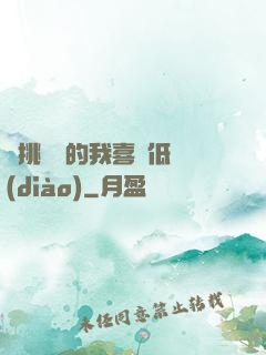 單挑艦隊的我喜歡低調(diào)