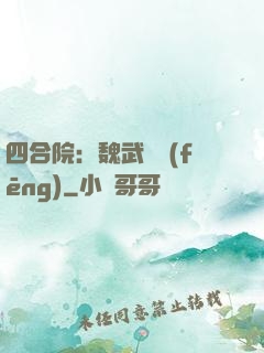 四合院：魏武遺風(fēng)